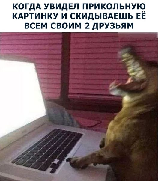 Смешные картинки, мемы и прочее (22 фото) Смешные картинки, мемы и прочее (22 фото)