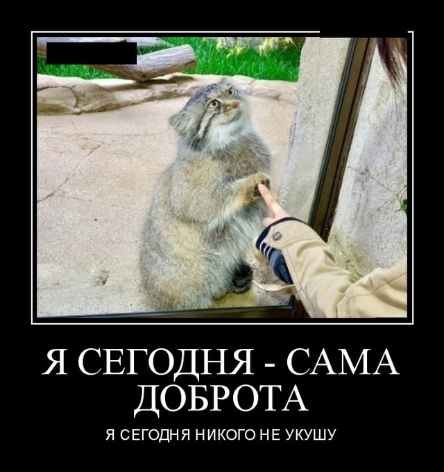 Подборка свежих демотиваторов на PAGGY.RU Подборка свежих демотиваторов на PAGGY.RU