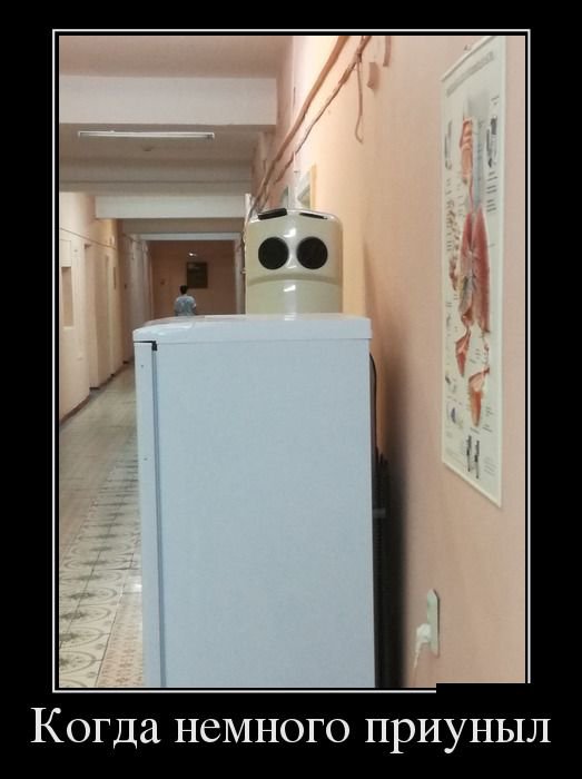 Прикольные новые демотиваторы (30 фото)