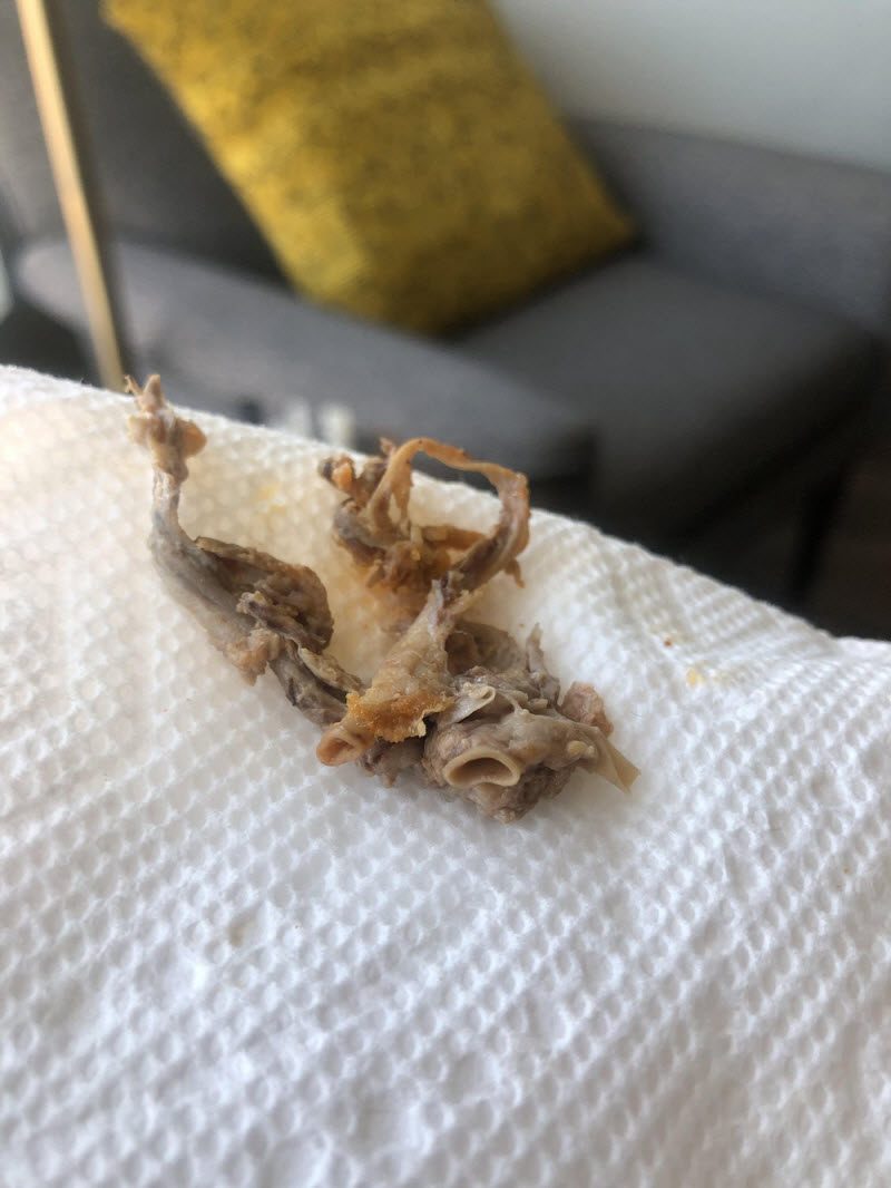 WTF: что тут происходит? (39 фото) WTF: что тут происходит? (39 фото)