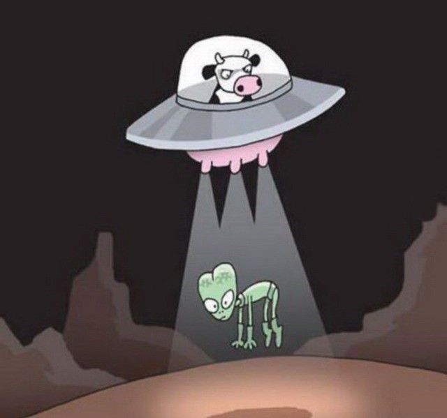 Мемы и приколы из параллельного мира (24 фото)