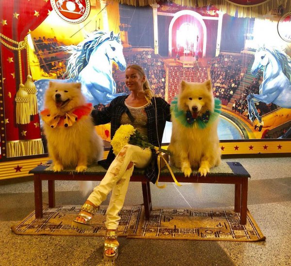 Нашла заначку с 90-х: Волочкова оконфузилась одеждой с «Черкизовского рынка» 