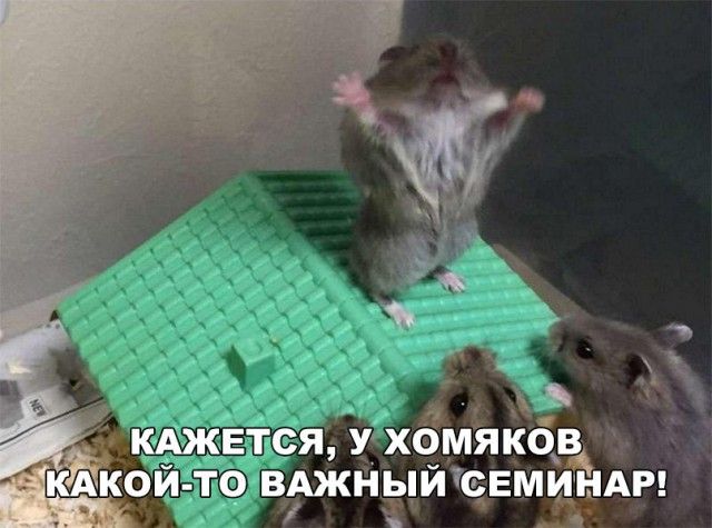 Смешные мемы, картинки и много другого юмора (20 фото)