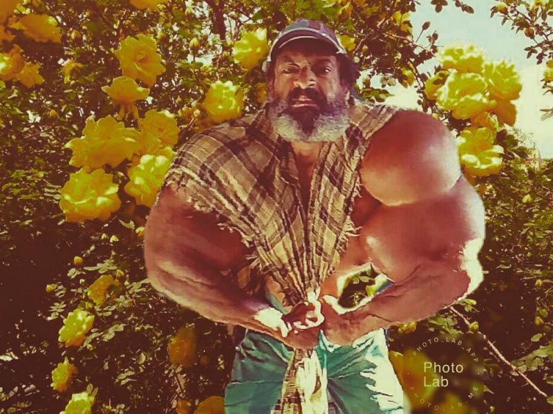 Синтольный "качок" из Бразилии (12 фото)