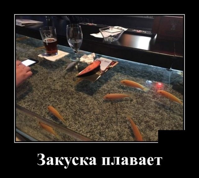 Смешные картинки-демотиваторы: 30 ржачных демок Смешные картинки-демотиваторы: 30 ржачных демок