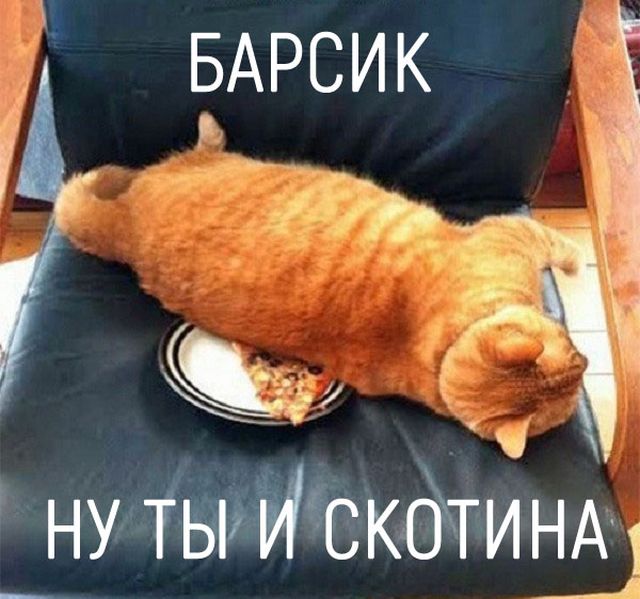 Смешные картинки, мемы и прочее (22 фото) Смешные картинки, мемы и прочее (22 фото)