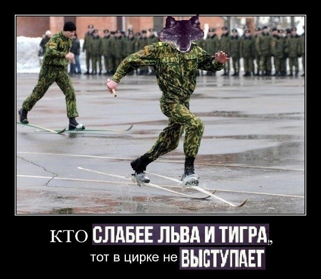 "Пацанская народная мудрость" и цитаты про волков (35 картинок) "Пацанская народная мудрость" и цитаты про волков (35 картинок)