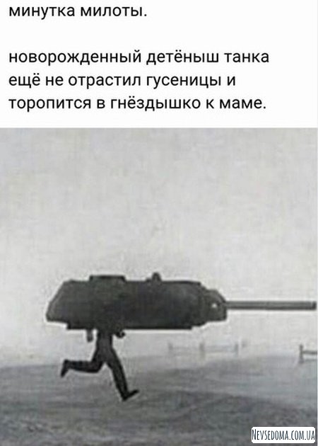 Юмор и комментарии из социальных сетей (20 фото)