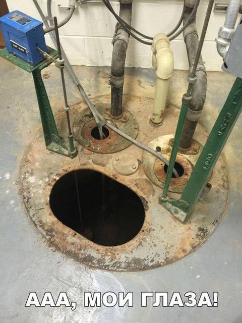 Смешные мемы, картинки и много другого юмора (20 фото)