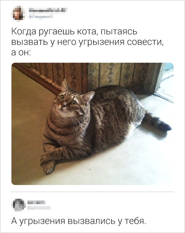 Новая порция юморесок и острот с просторов сети (17 скриншотов) Новая порция юморесок и острот с просторов сети (17 скриншотов)