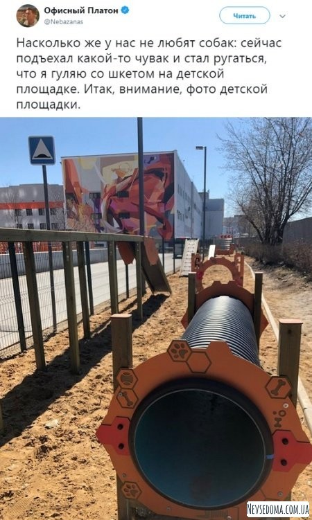 Юмор и комментарии из социальных сетей (20 фото)