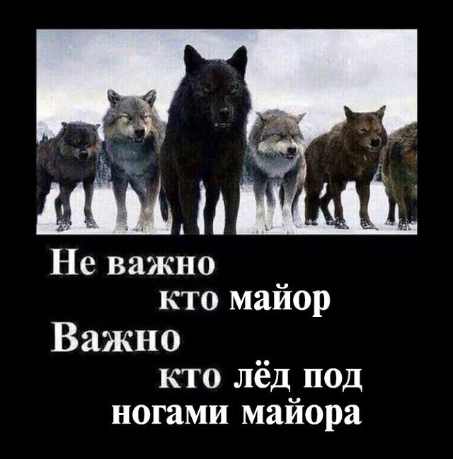 "Пацанская народная мудрость" и цитаты про волков (35 картинок) "Пацанская народная мудрость" и цитаты про волков (35 картинок)