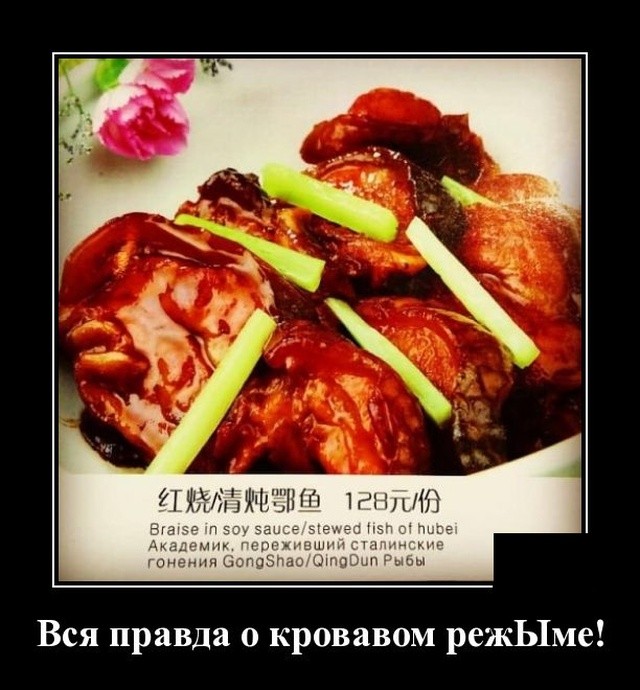 Демотиваторы 2019 года: смешные и свежие