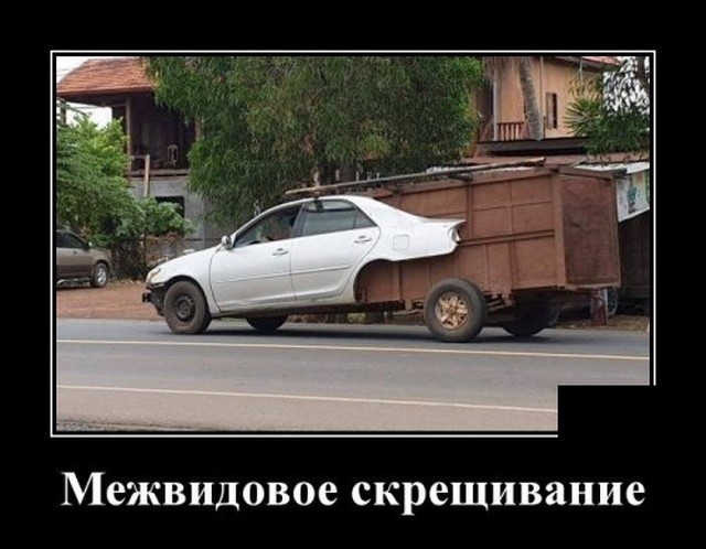 Подборка свежих демотиваторов на PAGGY.RU Подборка свежих демотиваторов на PAGGY.RU