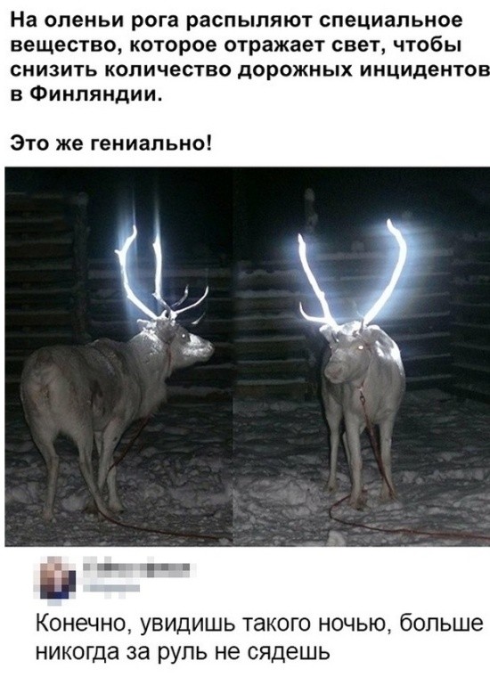 Немного шуток из социальных сетей (20 скриншотов)