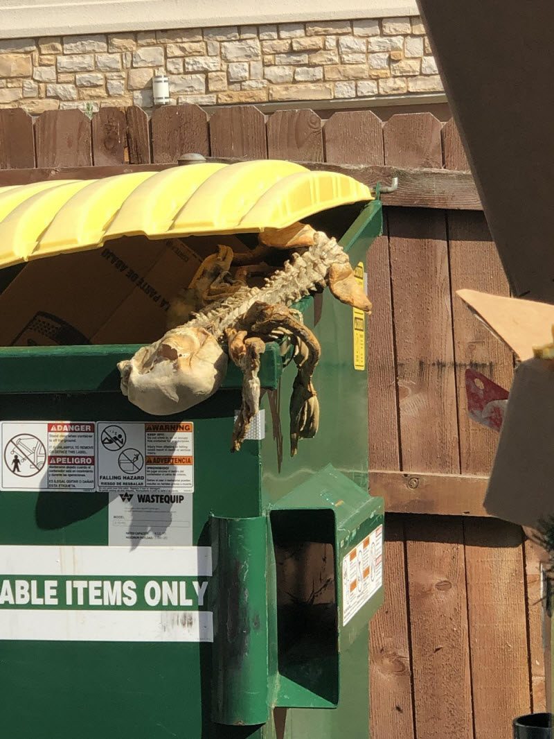 WTF: что тут происходит? (39 фото) WTF: что тут происходит? (39 фото)