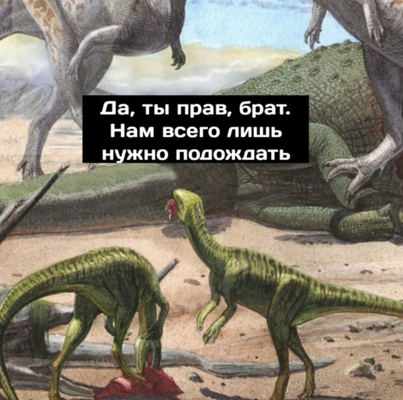 Комикс: Сингулярность, или Адаптировались, да?! (9 фото) Комикс: Сингулярность, или Адаптировались, да?! (9 фото)