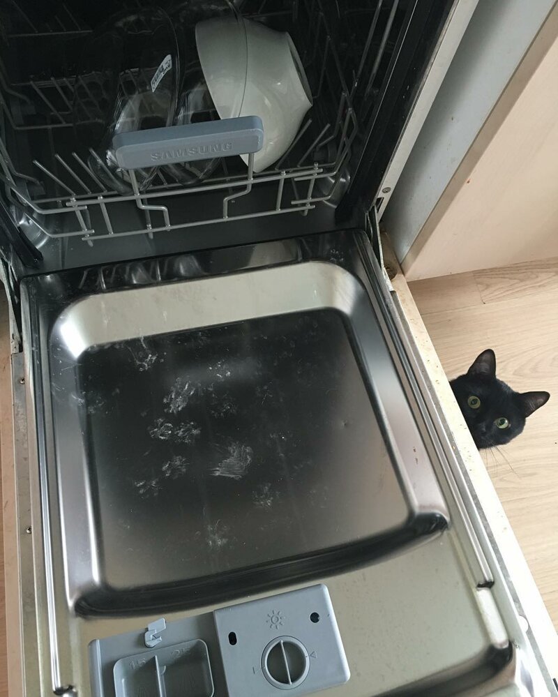 Они думали, что никто не заметит: 17 фото свидетельств, благодаря которым люди спалились (19 фото)