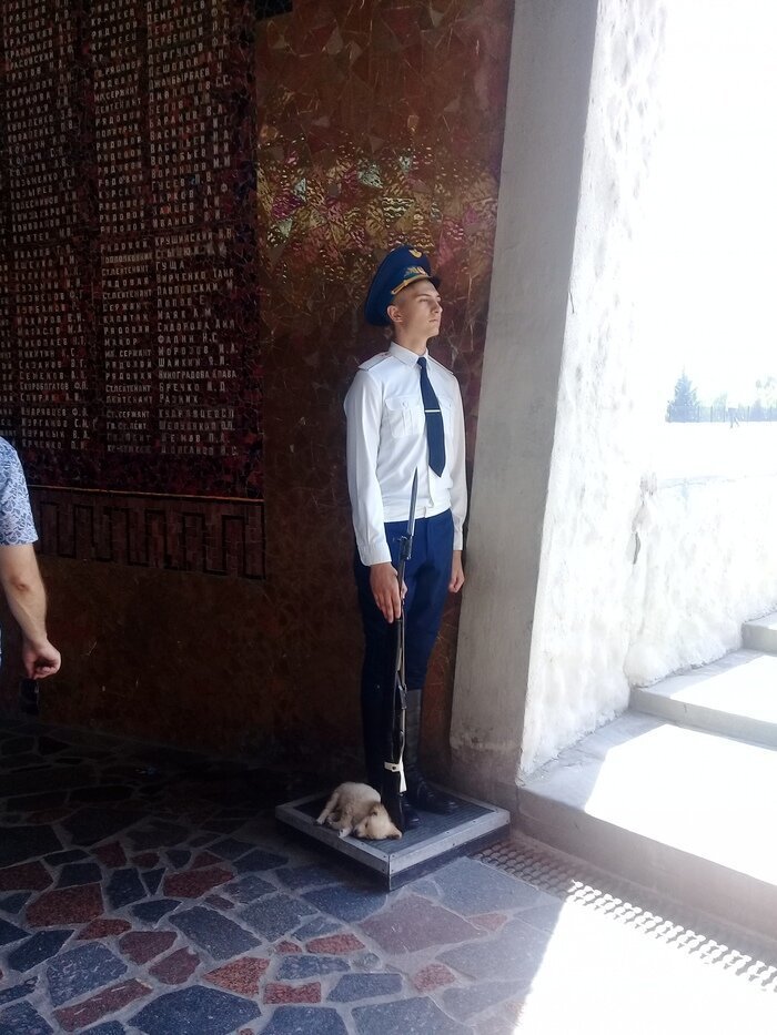 Примеры настоящей искренности и доброты, которые мотивируют на хорошие дела (22 фото) Примеры настоящей искренности и доброты, которые мотивируют на хорошие дела (22 фото)