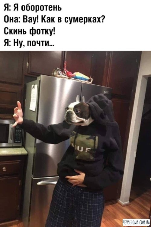 Юмор и комментарии из социальных сетей (20 фото)