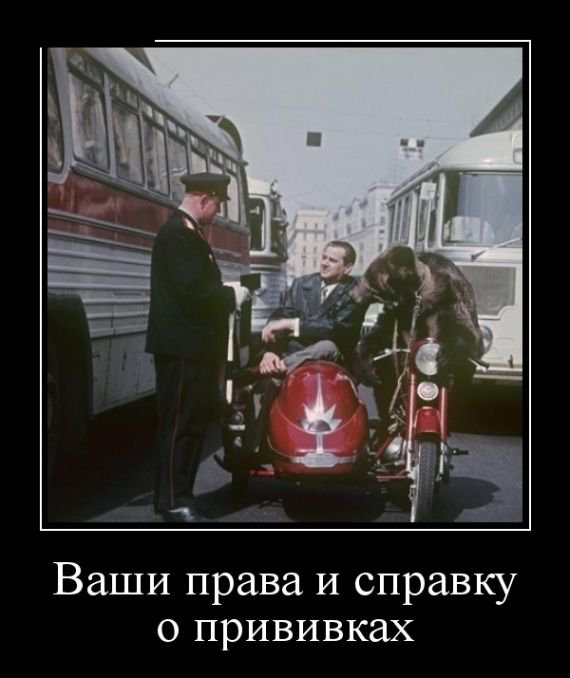 Прикольные новые демотиваторы (30 фото)