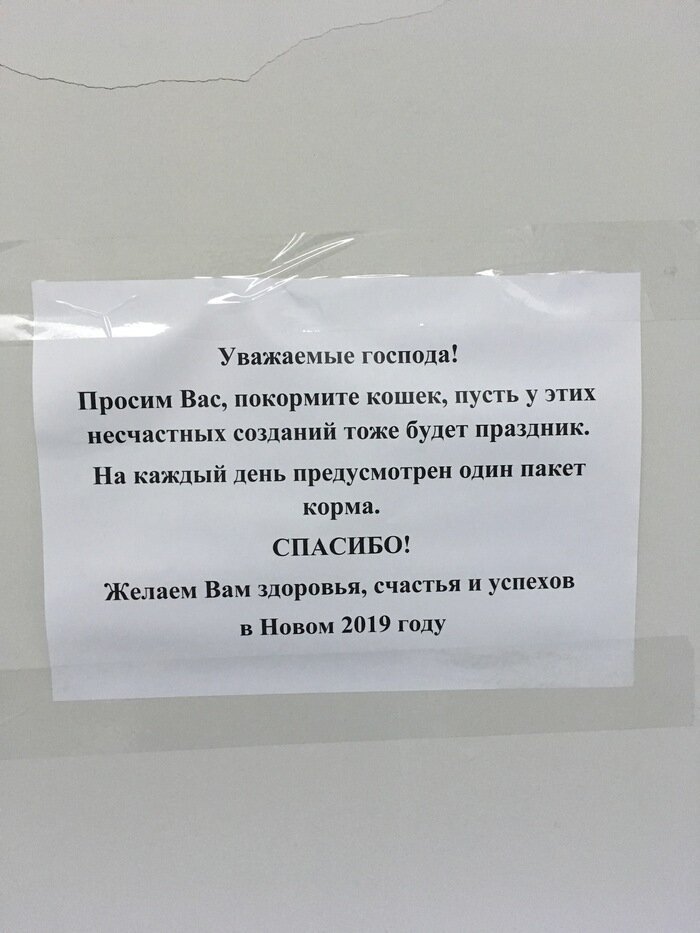 Примеры настоящей искренности и доброты, которые мотивируют на хорошие дела (22 фото) Примеры настоящей искренности и доброты, которые мотивируют на хорошие дела (22 фото)