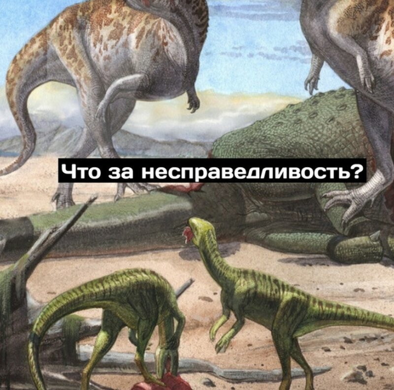 Комикс: Сингулярность, или Адаптировались, да?! (9 фото) Комикс: Сингулярность, или Адаптировались, да?! (9 фото)