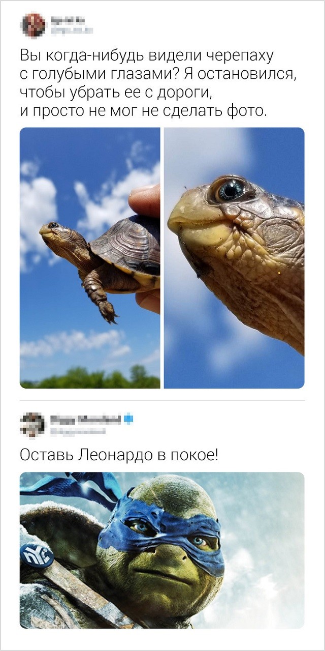 Свежая партия забавных комментариев с просторов Сети (17 скриншотов) Свежая партия забавных комментариев с просторов Сети (17 скриншотов)