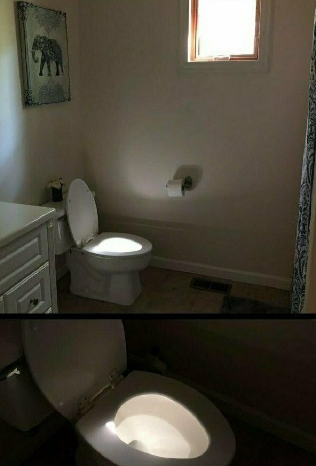 Кадры, которые сняли в самый подходящий момент (22 фото) Кадры, которые сняли в самый подходящий момент (22 фото)