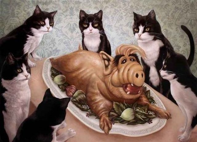 Мемы и приколы из параллельного мира (24 фото)