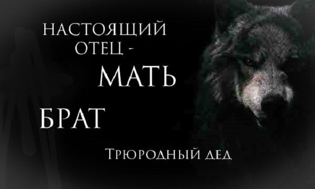 "Пацанская народная мудрость" и цитаты про волков (35 картинок) "Пацанская народная мудрость" и цитаты про волков (35 картинок)