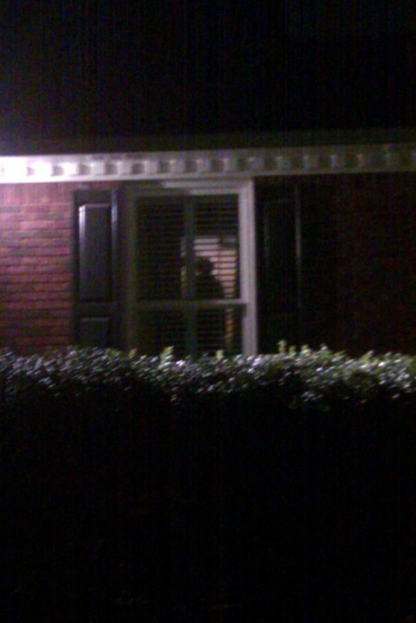 Чуть сердце не остановилось: 22 пугающие оптические иллюзии (23 фото) Чуть сердце не остановилось: 22 пугающие оптические иллюзии (23 фото)