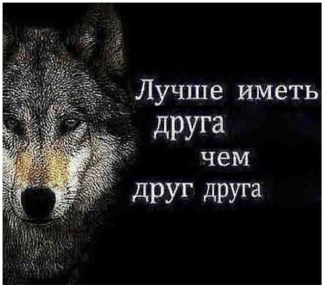 "Пацанская народная мудрость" и цитаты про волков (35 картинок) "Пацанская народная мудрость" и цитаты про волков (35 картинок)