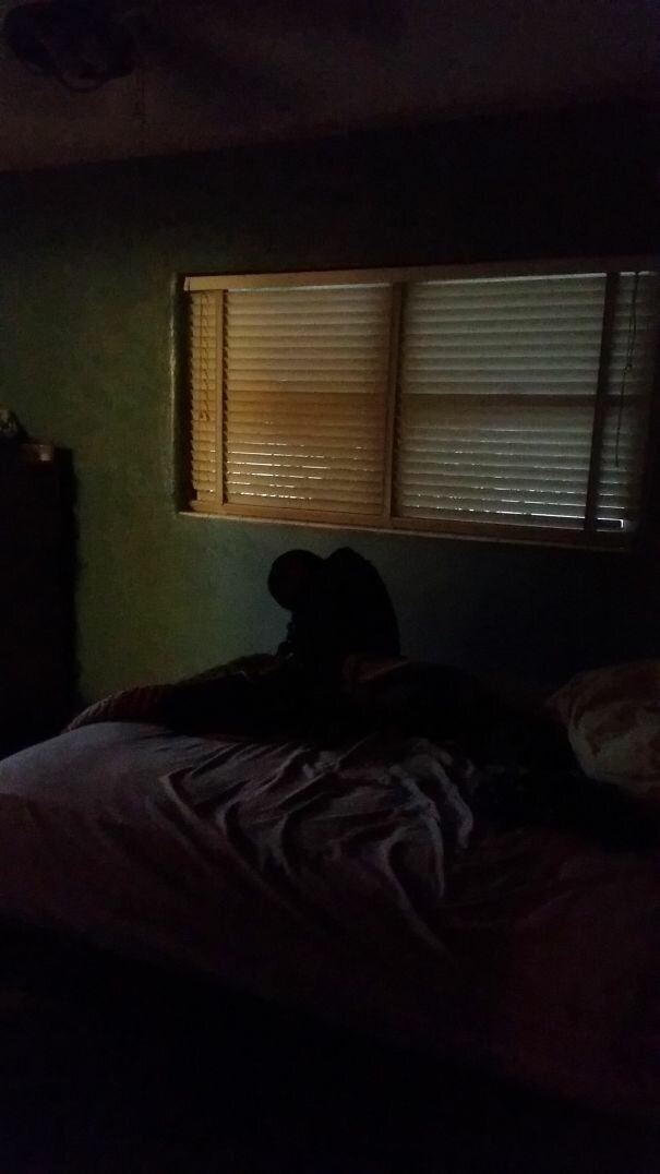 Чуть сердце не остановилось: 22 пугающие оптические иллюзии (23 фото) Чуть сердце не остановилось: 22 пугающие оптические иллюзии (23 фото)