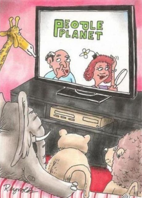 Мемы и приколы из параллельного мира (24 фото)