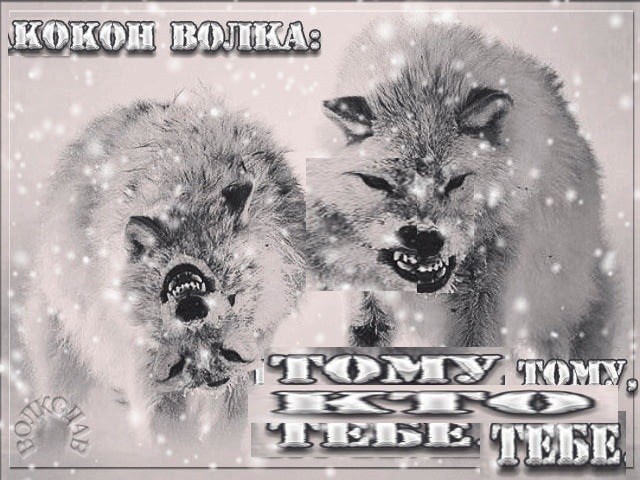 "Пацанская народная мудрость" и цитаты про волков (35 картинок) "Пацанская народная мудрость" и цитаты про волков (35 картинок)