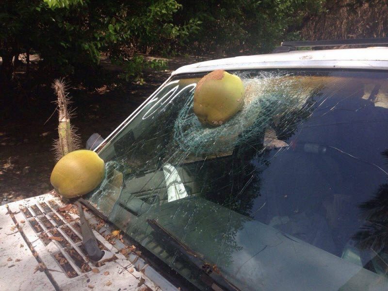 Бывают в жизни огорчения... (40 фото)