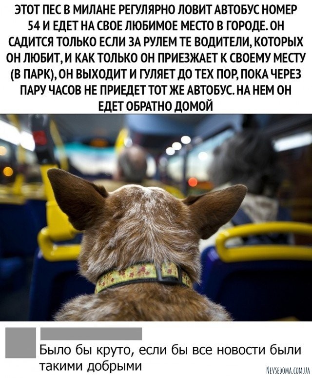 Юмор и шутки из социальных сетей (22 фото) Юмор и шутки из социальных сетей (22 фото)