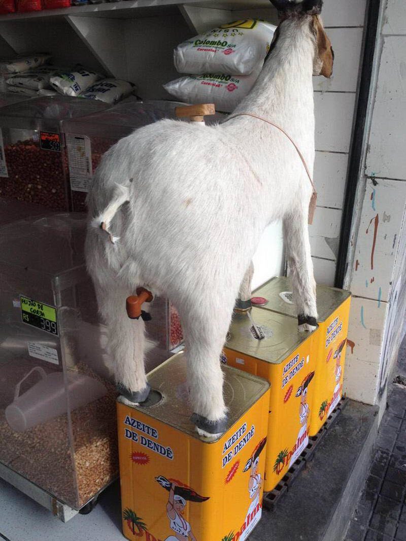 WTF: что тут происходит? (39 фото) WTF: что тут происходит? (39 фото)