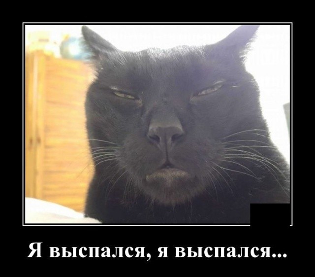 Демотиваторы 2019 года: смешные и свежие