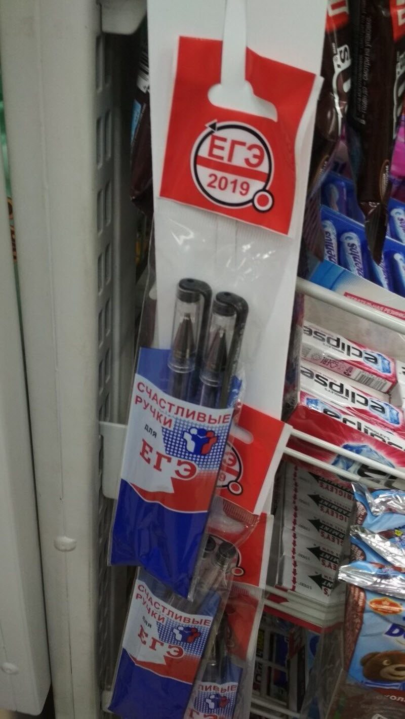 Ужасы ЕГЭ-2019: смерть, роды, слежка (19 фото)