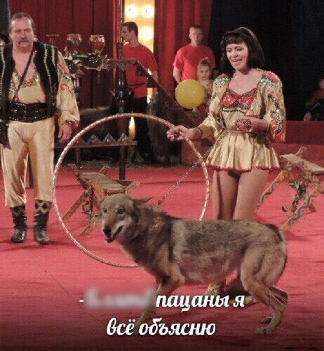 "Пацанская народная мудрость" и цитаты про волков (35 картинок) "Пацанская народная мудрость" и цитаты про волков (35 картинок)