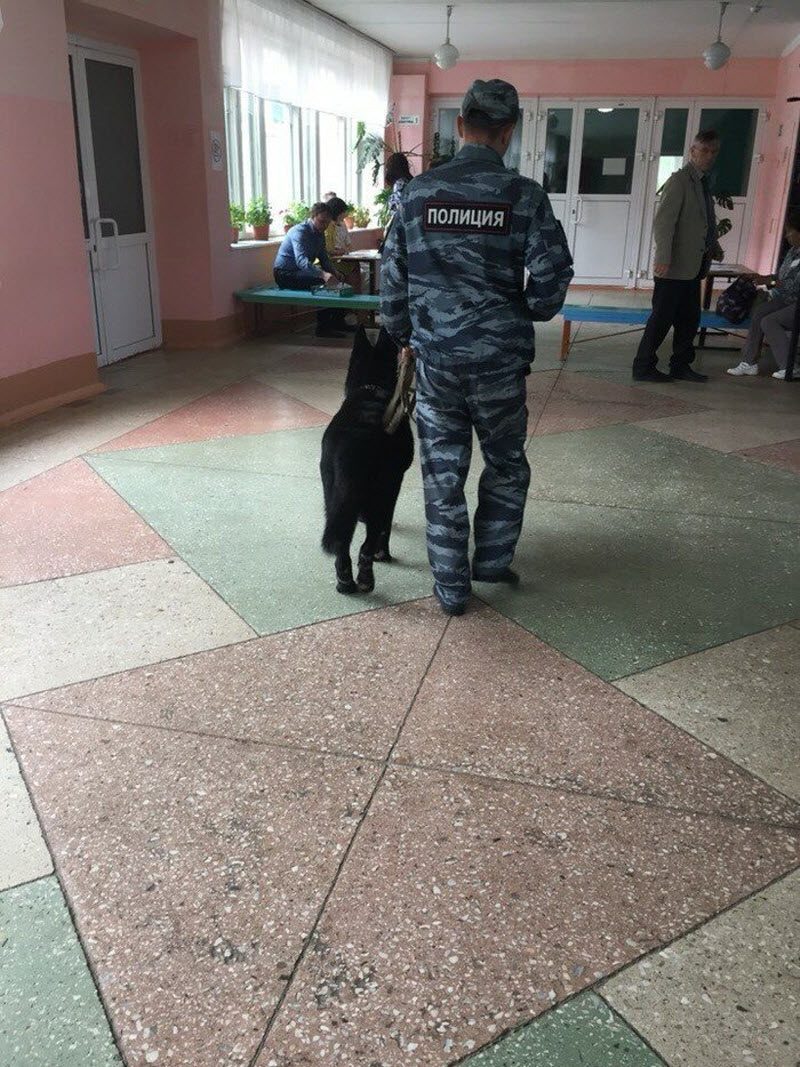 Ужасы ЕГЭ-2019: смерть, роды, слежка (19 фото)