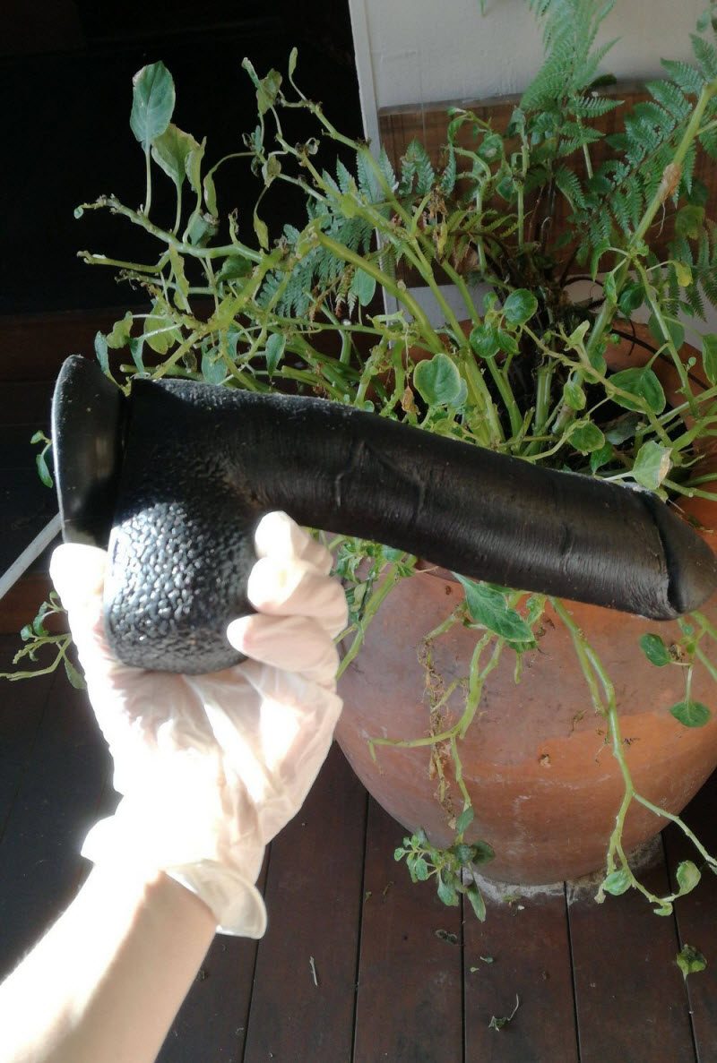 WTF: что тут происходит? (39 фото) WTF: что тут происходит? (39 фото)