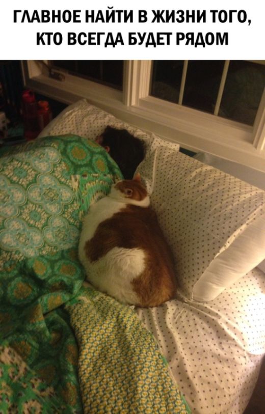 Смешные картинки (20 фото)