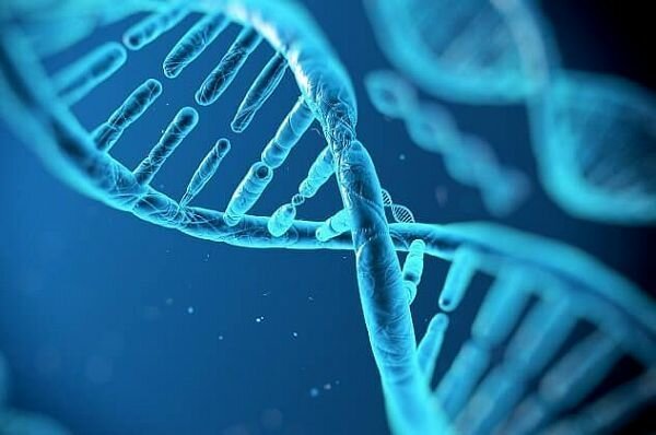 Почему 20% мужчин воспитывают не своих детей (3 фото) Почему 20% мужчин воспитывают не своих детей (3 фото)