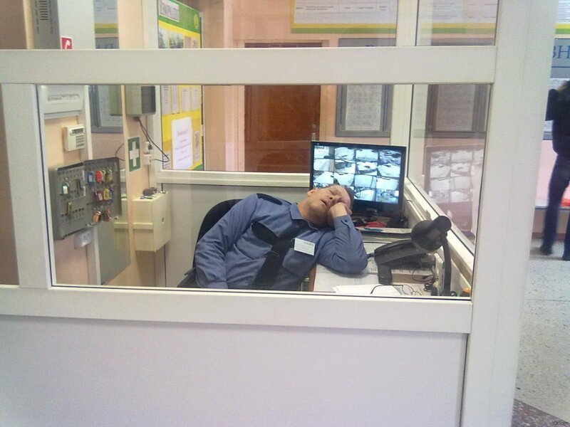 Нет, им ничуть не стыдно (21 фото + 1 видео) Нет, им ничуть не стыдно (21 фото + 1 видео)