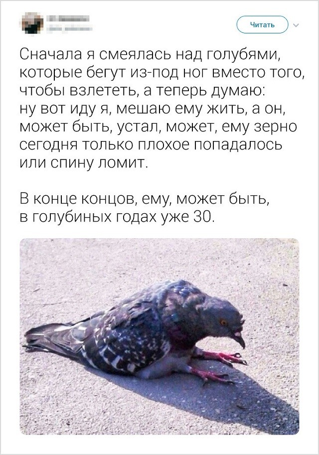 Подборка "симптомов старости" от пользователей социальных сетей (18 скриншотов) Подборка "симптомов старости" от пользователей социальных сетей (18 скриншотов)