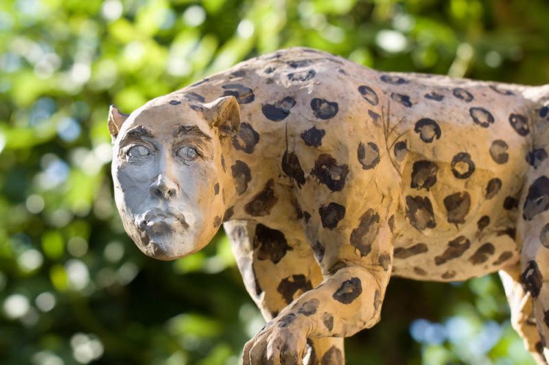 WTF: что тут происходит? (39 фото) WTF: что тут происходит? (39 фото)