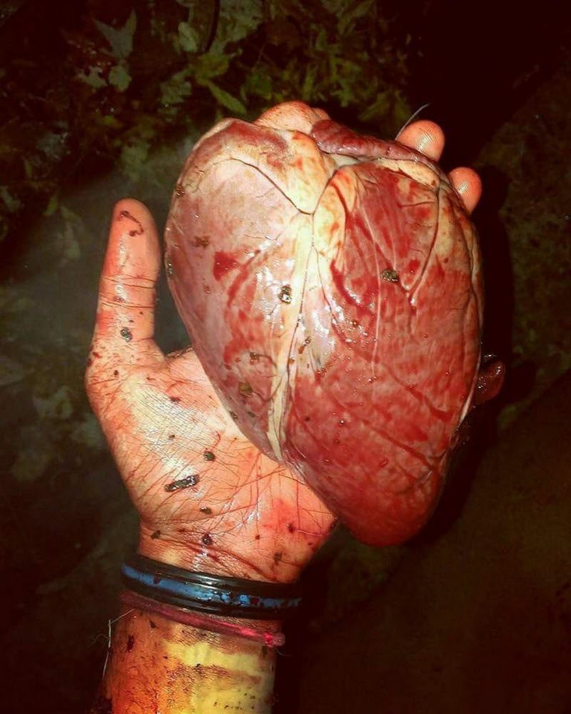 Любительница охоты с луком берет с собой маленькую дочь (14 фото)